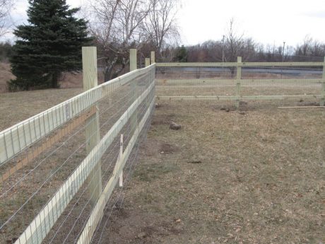DIY Wood Fence With Wire Mesh