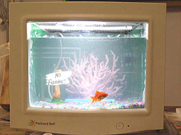 Computer Monitor Fish Tank