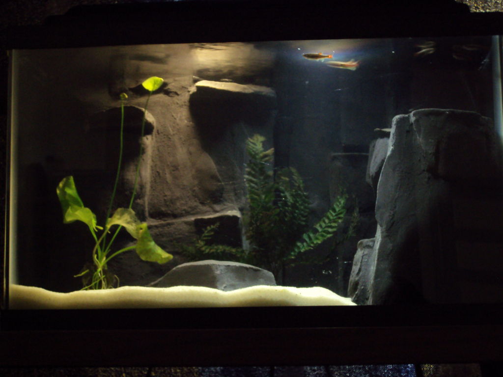 River Aquarium Fish Tank