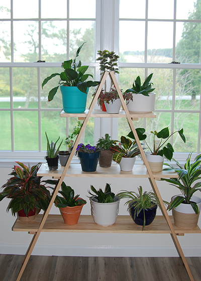 A-Frame Plant Stand