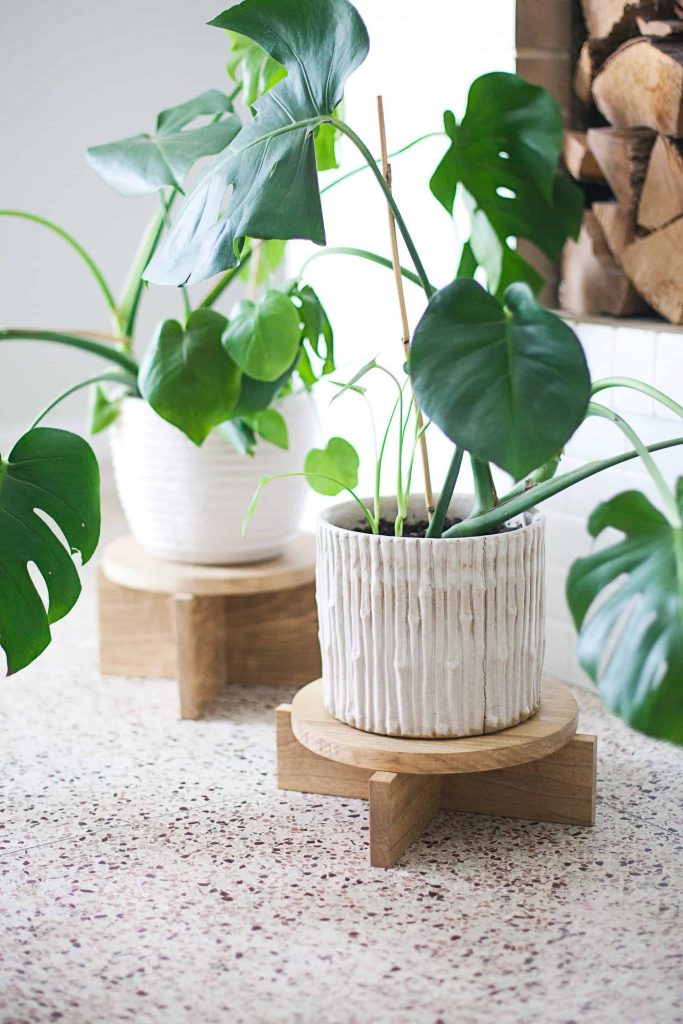 Table Top Plant Stand
