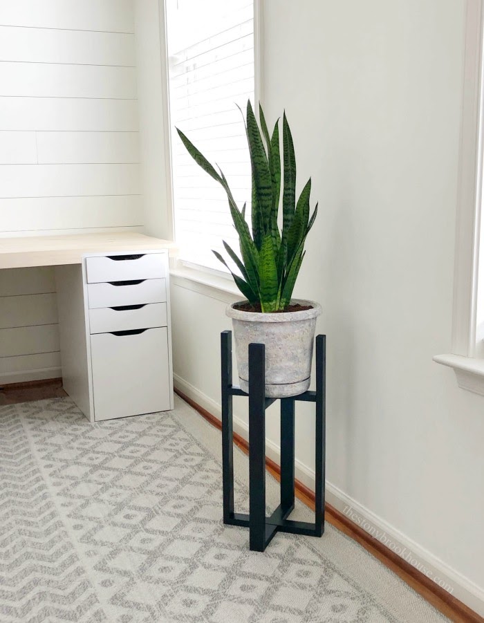 Upside Down Plant Stand