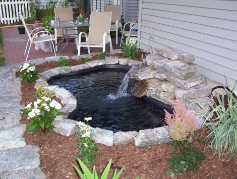 Water Garden and Koi Pond Combo