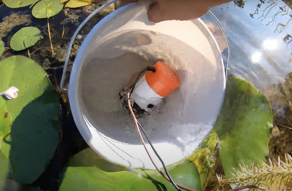 DIY Solar Powered Pond Filter With Skimmer