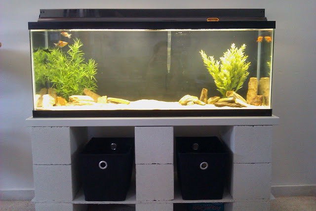 Cinder Block Tank Stand