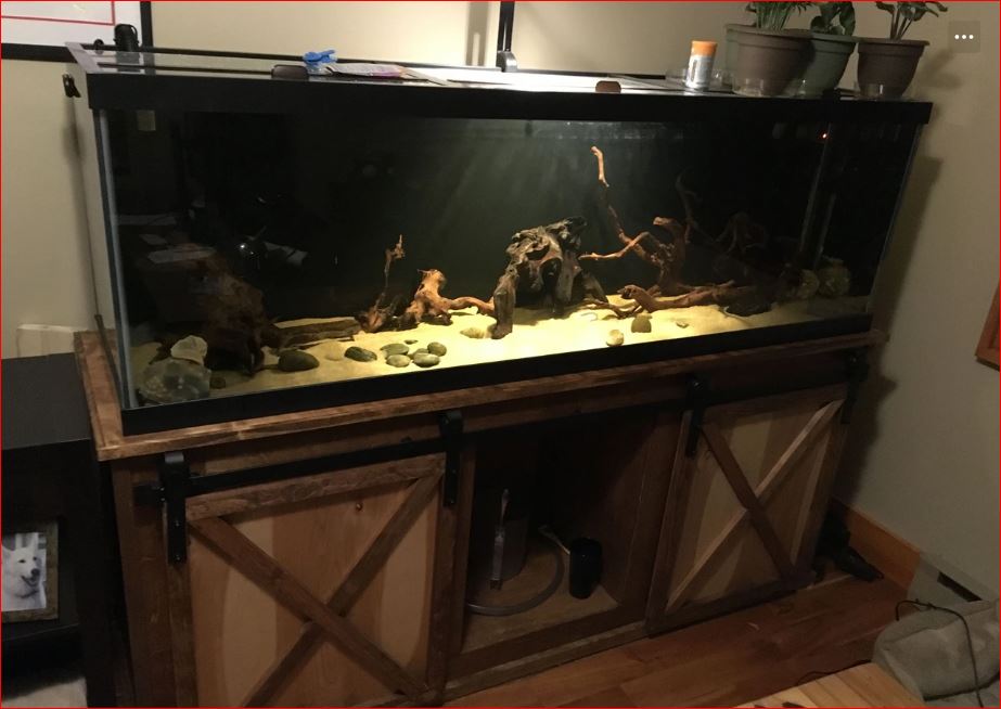 DIY Aquarium Stand