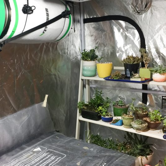 DIY Grow Tent for Succulents