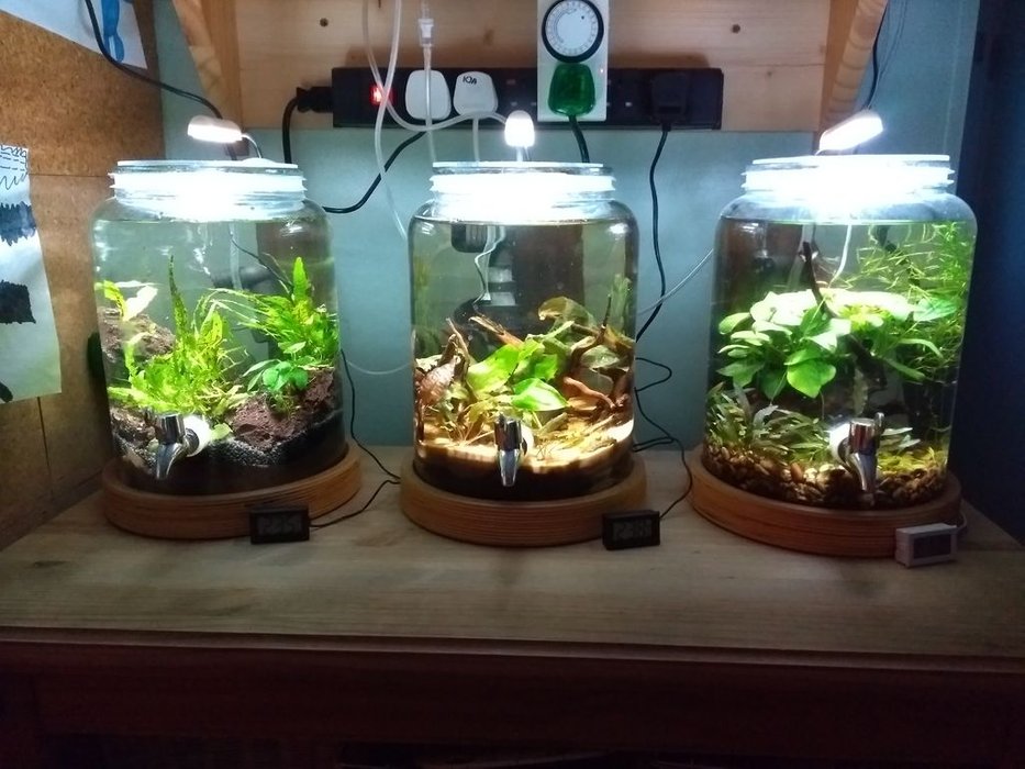DIY fish tank